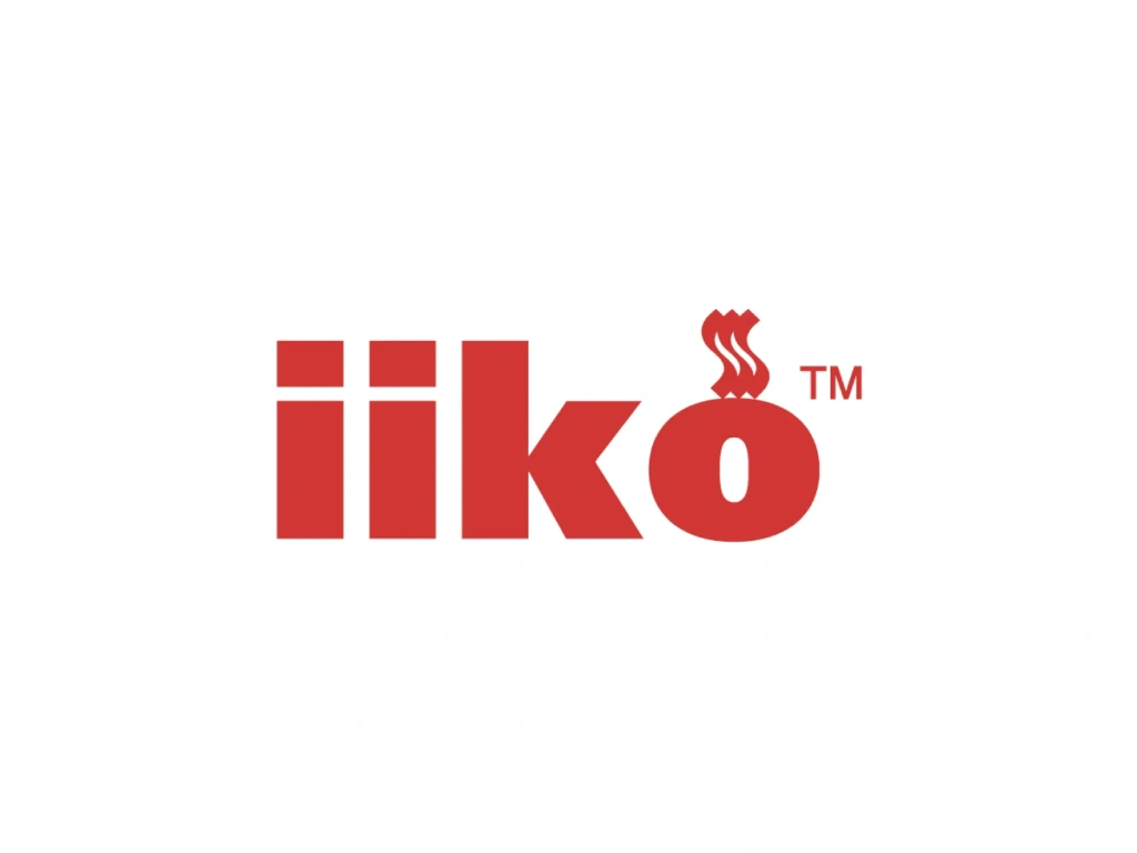Логотип iiko
